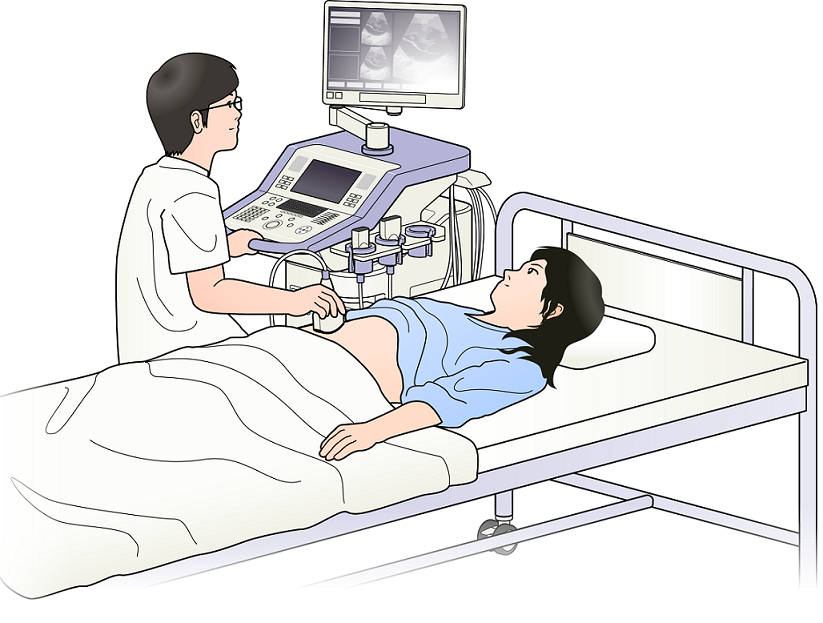 【医療機器の種類】<br>超音波画像診断装置（エコー）